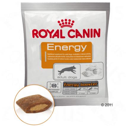 Royal Canin Energy snacks de treino para cães - 10 x 50 g