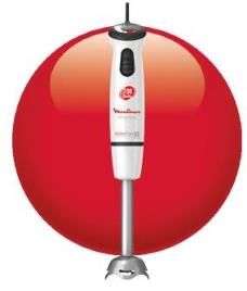 MOULINEX - Varinha DD866A10