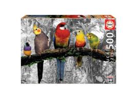 Educa - Puzzle Coloured B&W 