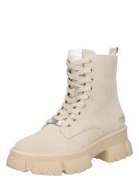 STEVE MADDEN Sapatilhas baixas ' TANKER'  creme