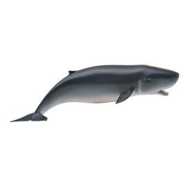Collecta Figura De Esperma Pigmeo 3-6 Years Multicolor