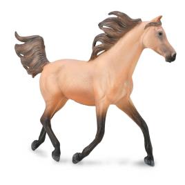 Collecta Meio Garanhão árabe Figura Deluxe 3-6 Years Multicolor