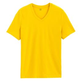 La Redoute Collections T-shirt de decote em V em algodão, Théo