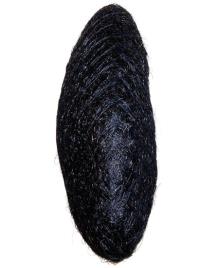 Relleno Peinado Moo Negro