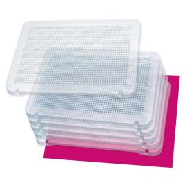 Miniland Placas Transparentes Pegs 6 One Size Multicolor