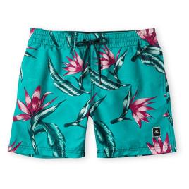 O´neill Shorts De Natação Print 164 cm Blue All Over 6