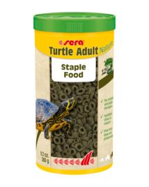 Sera Turtle Adult Nature