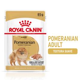 Royal Canin Breed Pomerania em saquetas - Megapack económico: 48 x 85 g