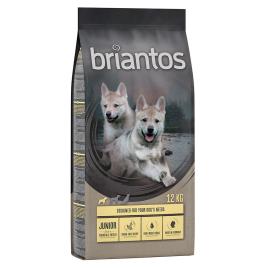 Briantos Junior frango e batata - SEM CEREAIS - Pack económico: 2 x 12 kg