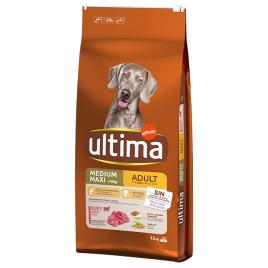 Ultima Medium-Maxi Adult com carne de boi para cães - Pack económico: 2 x 12 kg