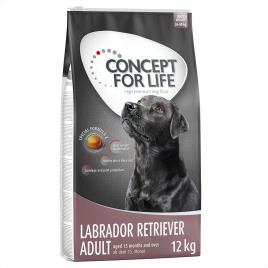 Concept for Life Labrador Retriever Adult - Pack económico: 2 x 12 kg