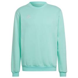 Adidas Sudadera Entrada 22 Stadium Sw S Clear Mint