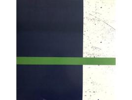 Vinil Bichkraft - 800