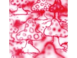 CD Gonno - Remember The Life Is Beautiful