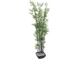 Planta Artificial EUROPALMS Bamboo (Verde - 180 cm)