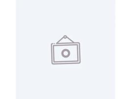 PAP.MET.DUPLO 0.50X10MTS R15 VERD/OURO :