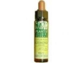 Artesania Agrícola Gorse Plantis 10ml 13
