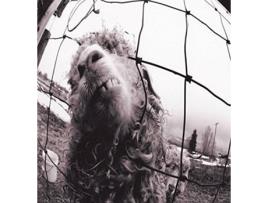 CD Pearl Jam - Vs. (Expanded Edition)