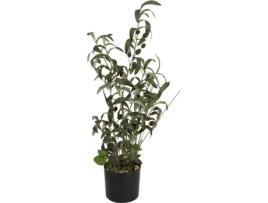 Planta Artificial EUROPALMS Olive (Verde - 68 cm)