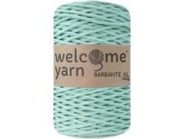 Fio de Macramé WELCOME YARN Barbante XL Bb30 3mmx120M (Verde - Algodão - 10x16,5x10 cm)