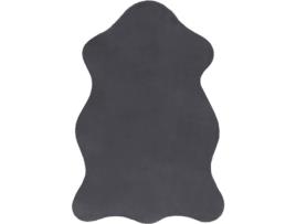 Tapete DYWANY LUSZCZOW New Dolly G4337-2 (Cinzento - 60 x 90 cm - Poliéster)