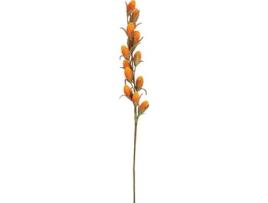 Planta Artificial EUROPALMS Buriti Branch (Laranja - 80x20 cm)