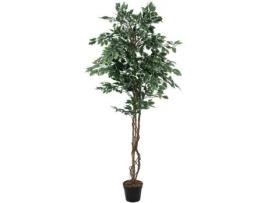 Planta Artificial EUROPALMS Variegated Ficus (Verde - 180 cm)