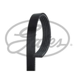 Correia gates 5pk708