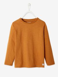 Camisola de mangas compridas, para menino castanho claro liso com motivo