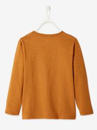 Camisola de mangas compridas, para menino castanho claro liso com motivo
