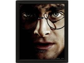 Poster 3D SHERWOOD Voldemort