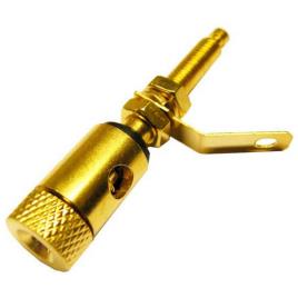 Euroconnex Conector De Plugue Banana 2759 One Size Gold