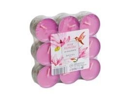 Pack 18 Tealights Perfumadas Canela