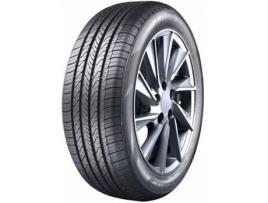 Pneu APTANY Rp203 165/70 R13 79T