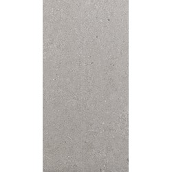 Pavimento cerâmico FREESTONE CINZENTO 30X60CM