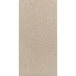 Pavimento cerâmico FREESTONE BEGE 30X60CM