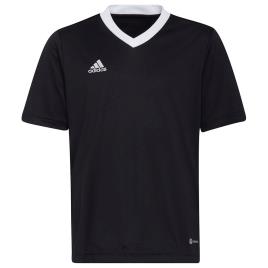 Adidas Camiseta Manga Curta Entrada 22 176 cm Black
