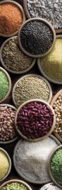 Sticker decorativo LEGUMES