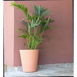 Vaso de barro CONE ONDULADO 60CM TERRACOTA