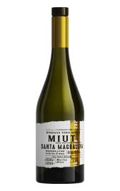 Toro Albalá MIUT Santa Magdalena 2020