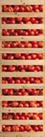 Sticker decorativo TOMATE