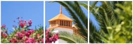 3 telas impressas ALGARVE FLORES