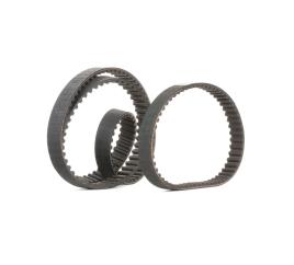 CONTITECH Kit de Correia de Distribuição VW,AUDI,SKODA CT957(SET) 036109119AC,036109119AG,036109119AC Jogo de correias dentadas 036109119AG,036109119B