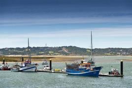 Tela regional ALGARVE BARCOS