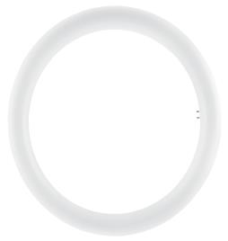 Tubo circular LED T9 20W 6500K