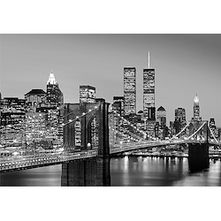 Mural de parede 366X254CM MANHATTAN