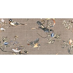 Revestimento cerâmico MIX&MATCH BIRDS TORTORA 30X60CM