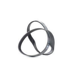 DAYCO Correia Trapezoidal Estriada VW,FIAT,PEUGEOT 6PK1035 46540546,60813506,60814847  71739615,7766684,037903137H,06A260849G,9675749480,46451885