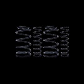 EIBACH Kit de suspensão, molas JEEP E30-28-016-01-22