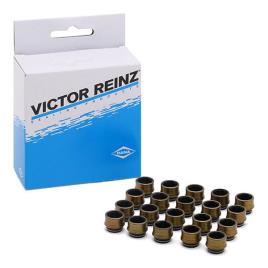 REINZ Jogo de juntas, haste da válvula VW,AUDI,MERCEDES-BENZ 12-31306-03 03610967520x,6050500058,03610967520x  03610967520x,863165220x,03610967520x